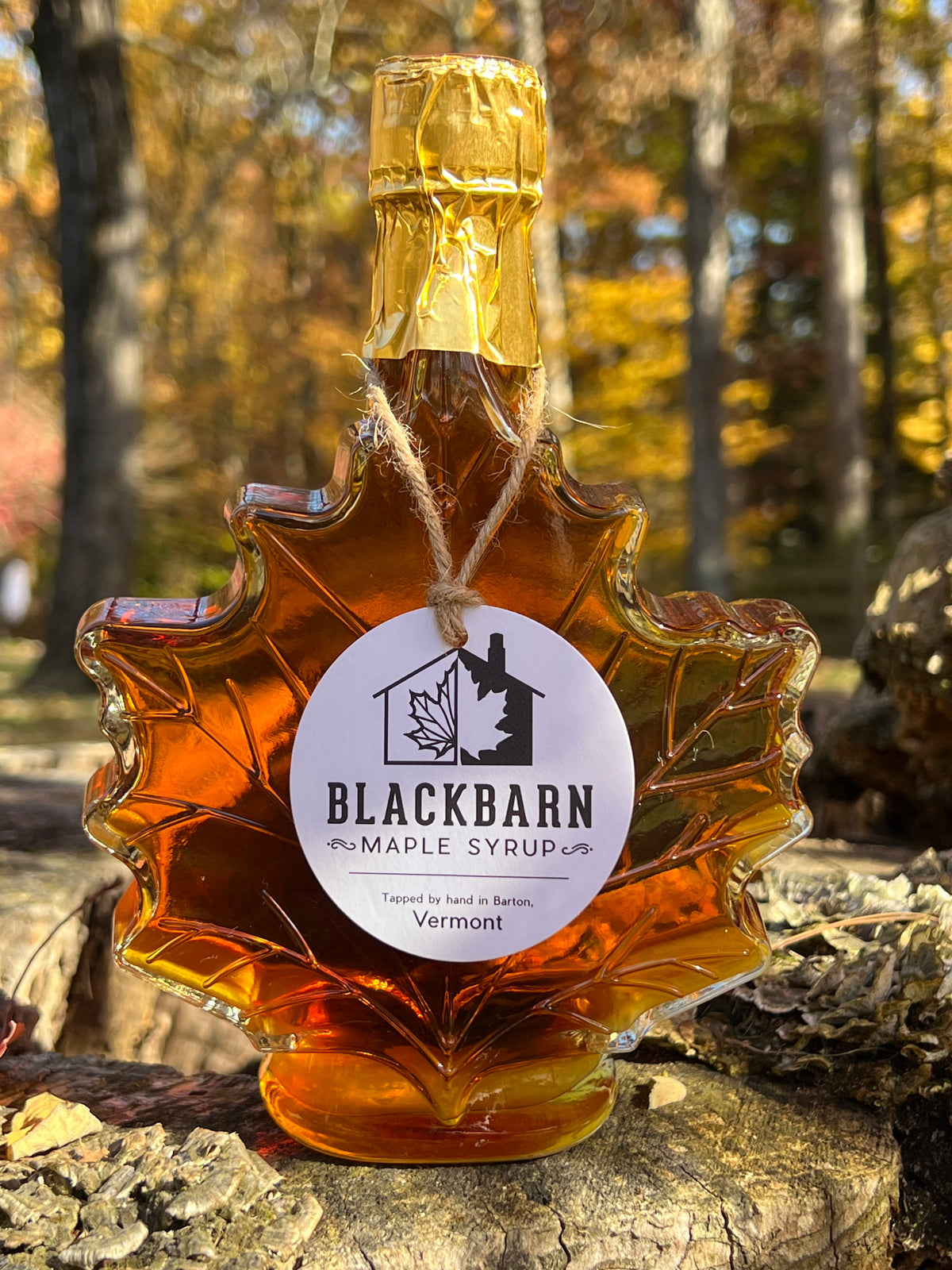 16 oz Black Barn Maple Syrup